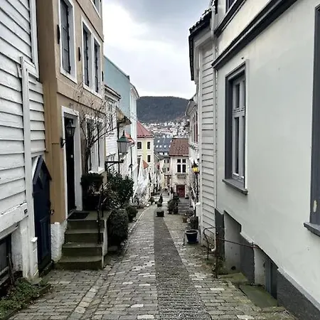 Cozy In Popular Street Apartment Bergen